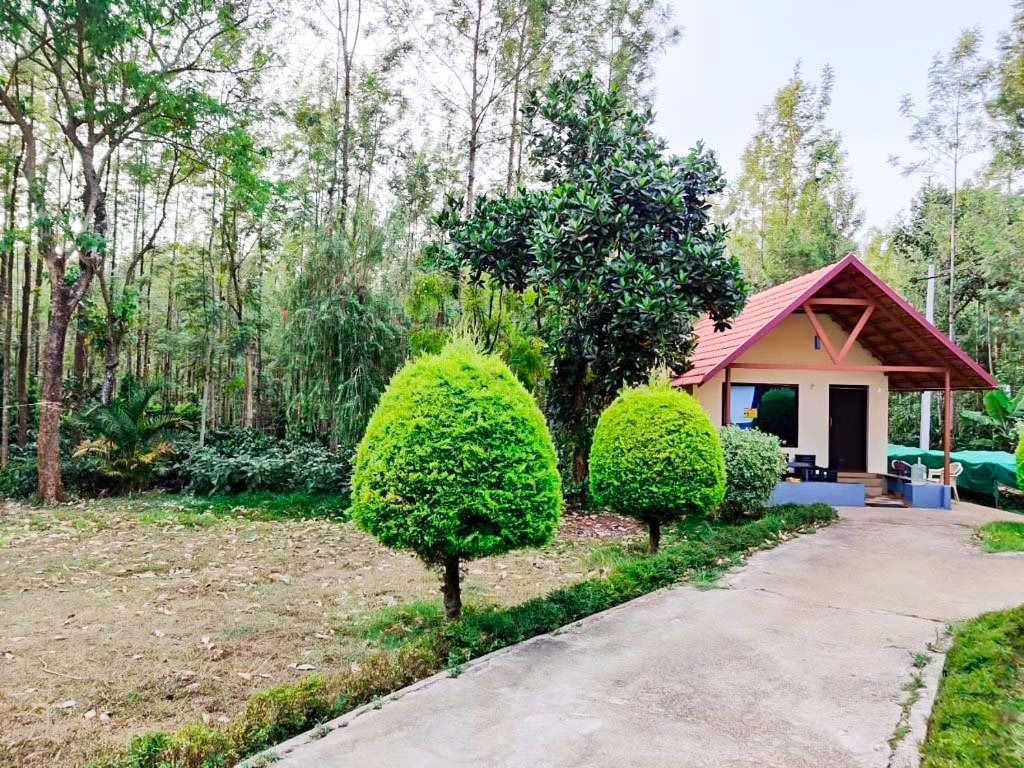 clover-leaf-homestay-chikmagalur-resorts-chikmagalur