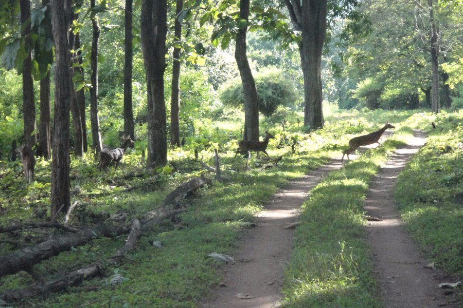 Muthodi Wildlife Sanctuary